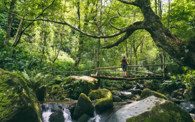 Mtirala National Park — a hiker on a wooden bridge above a mountain stream in the temperate rainforest of Adjara