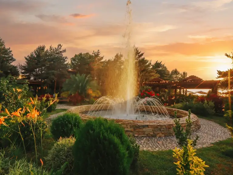 Manicured grounds and lush greenery of Dreamland Oasis