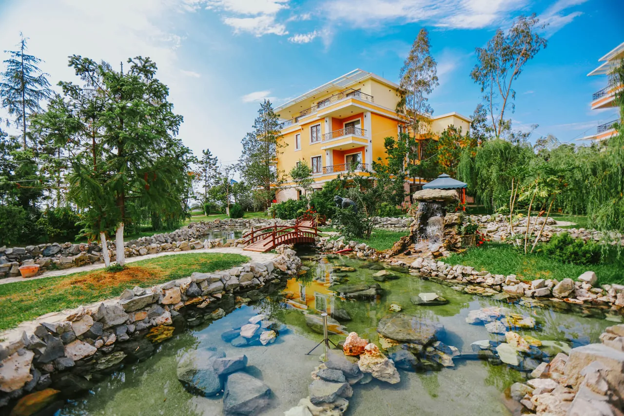 Evening lights at Dreamland Oasis