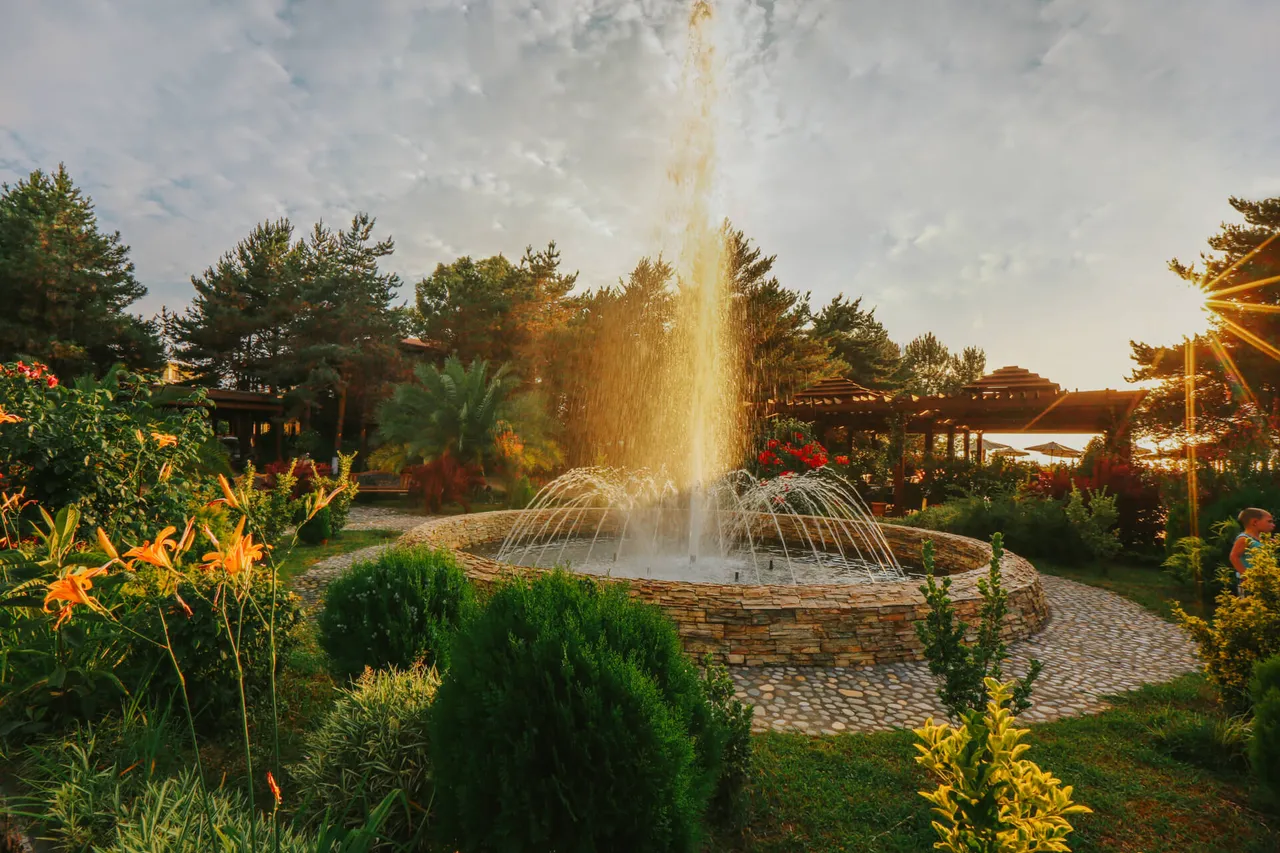 Dreamland Oasis grounds