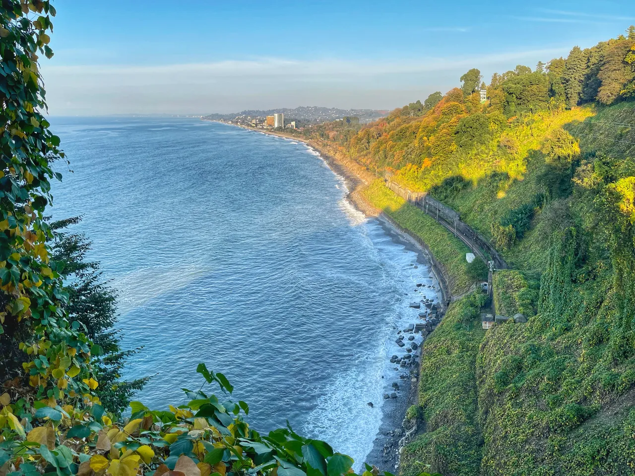 Batumi Botanical Garden