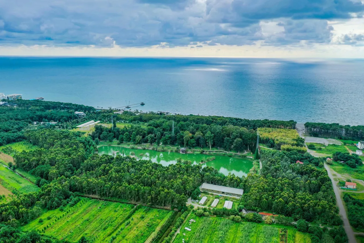 Shekvetili Dendrological Park